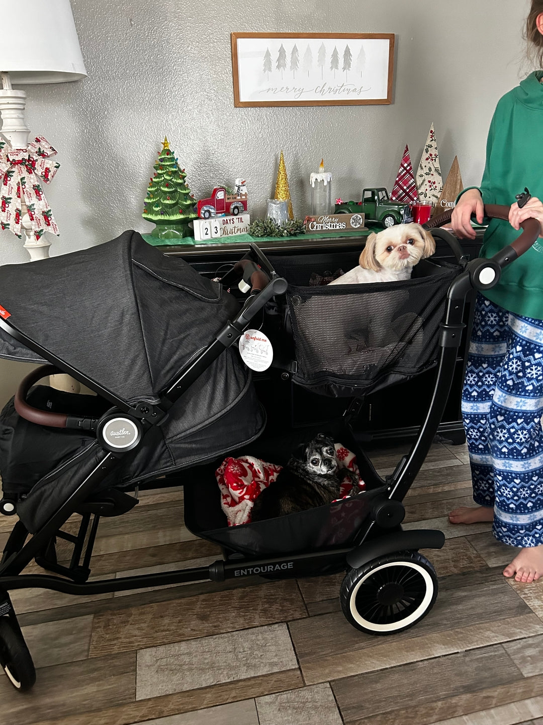The Best Stroller for Babies, Dogs and a Family Planning for Baby #2