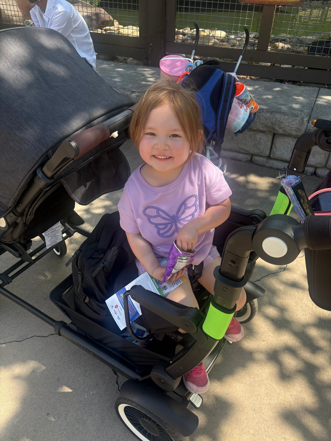 Why the Austlen Entourage 2.0 Is the Best Stroller for Disney and the Most Versatile Double Stroller